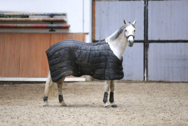 Raza de Caballo Paso Fino Colombiano
