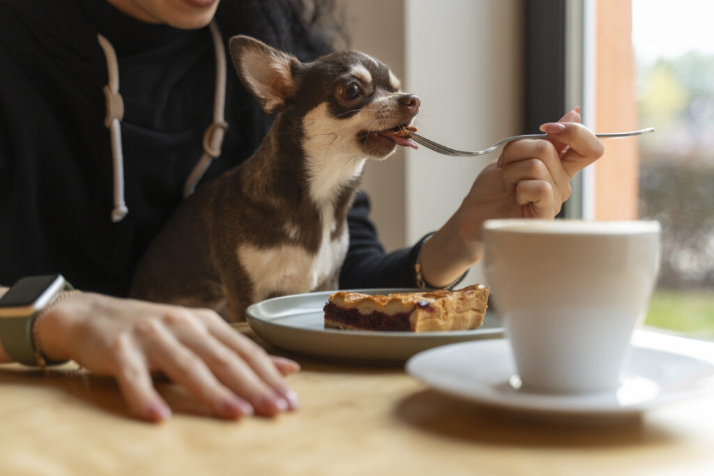 alimentos prohibidos para perros