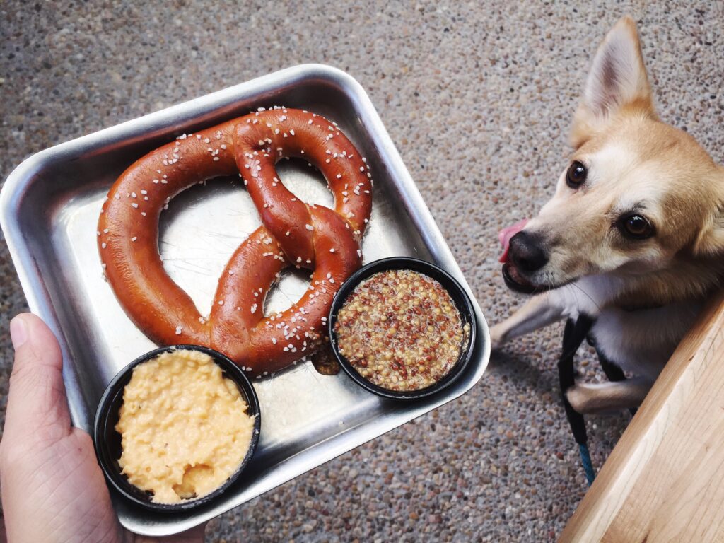 cuales alimentos son prohibidos para perros