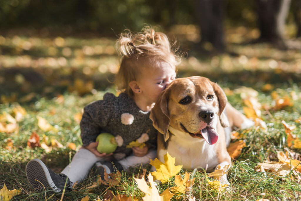 qué perros son buenos con niños