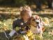 Las mejores razas de perros para niños pequeños