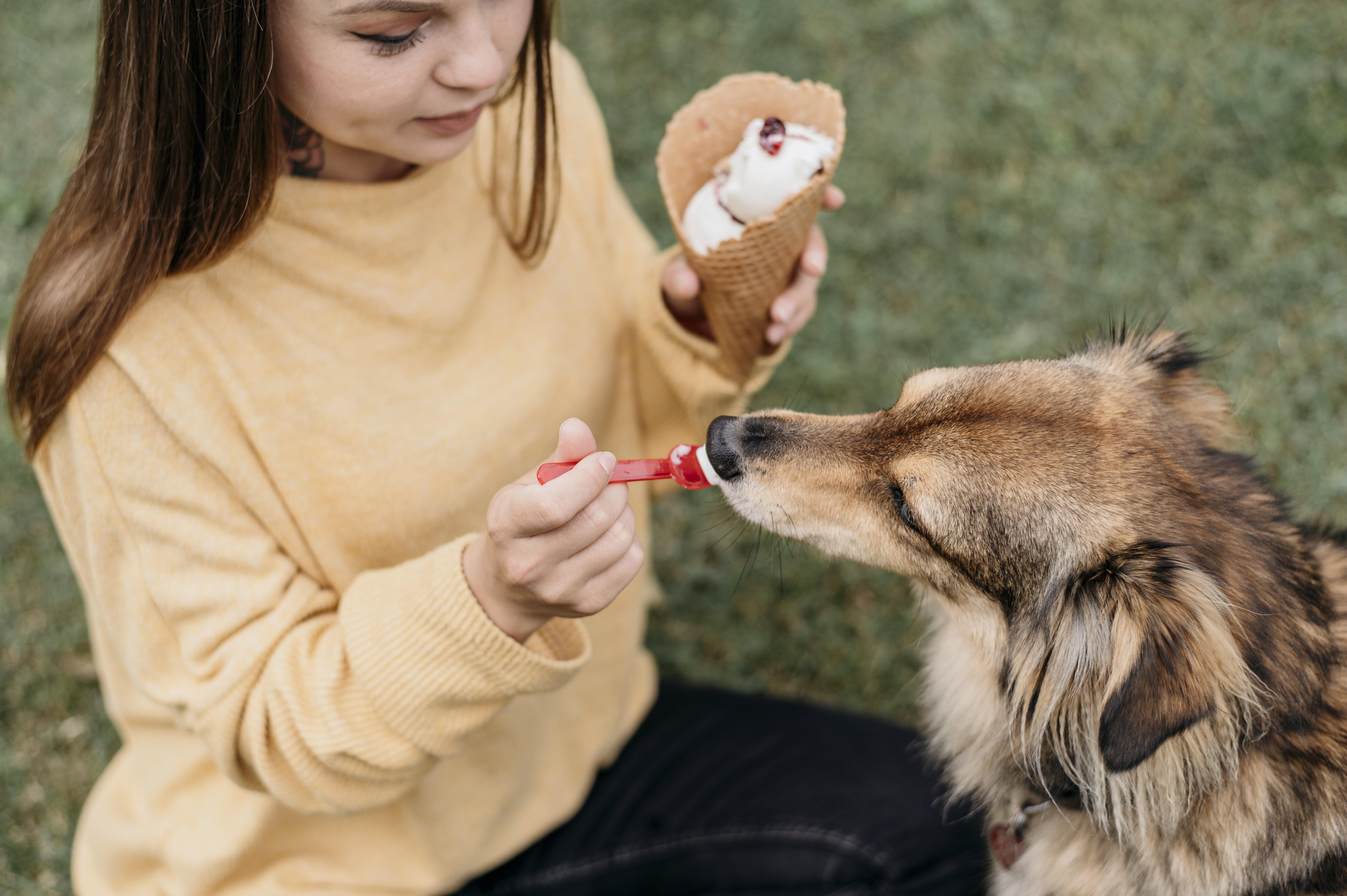 alimentos prohibidos para perros