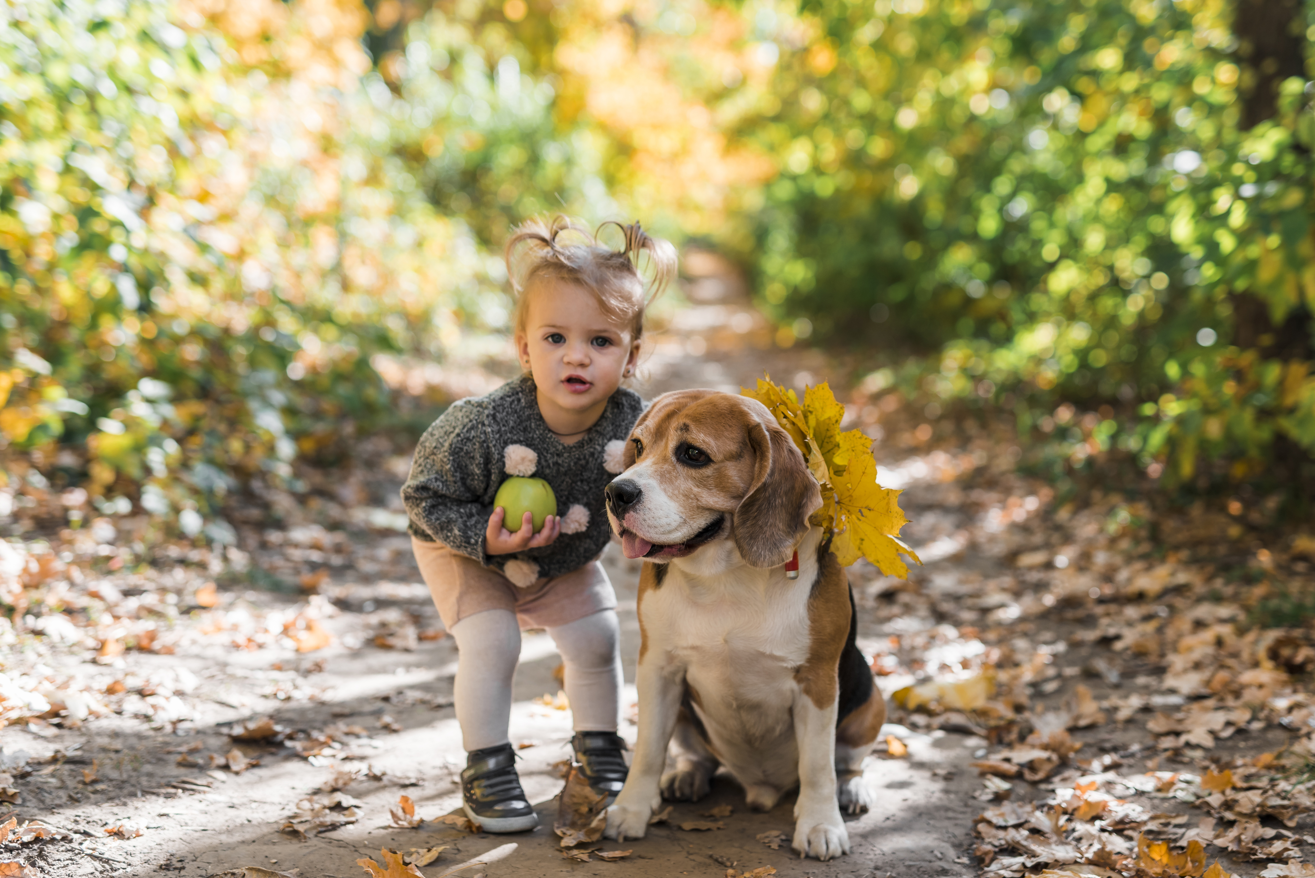 perros ideales para convivir con niños