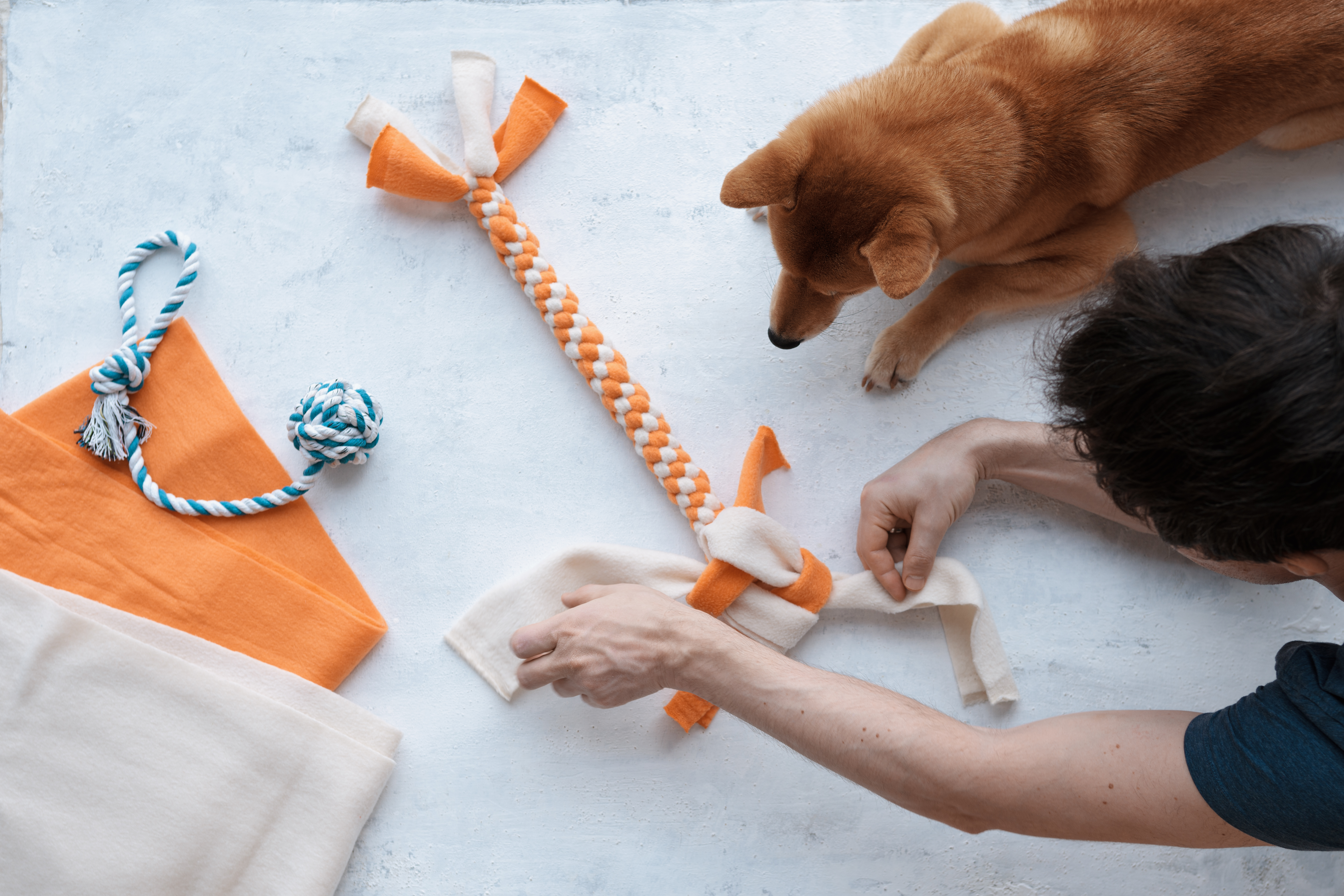 creando juguetes interactivos para perros