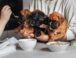 Alimentación para Cachorros: Qué Darles y Qué Evitar en los Primeros Meses de Vida