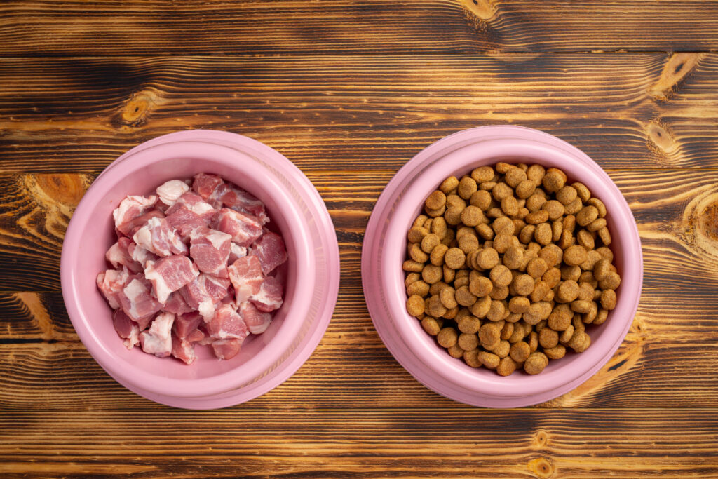comparación de comidas para perros