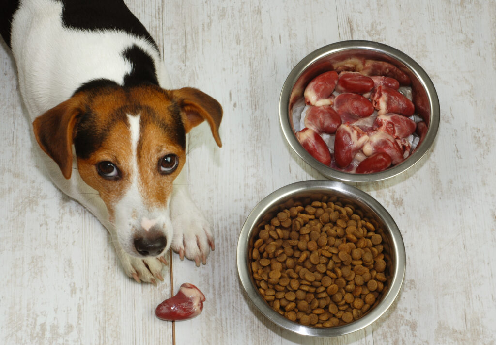 alimentación natural para perros