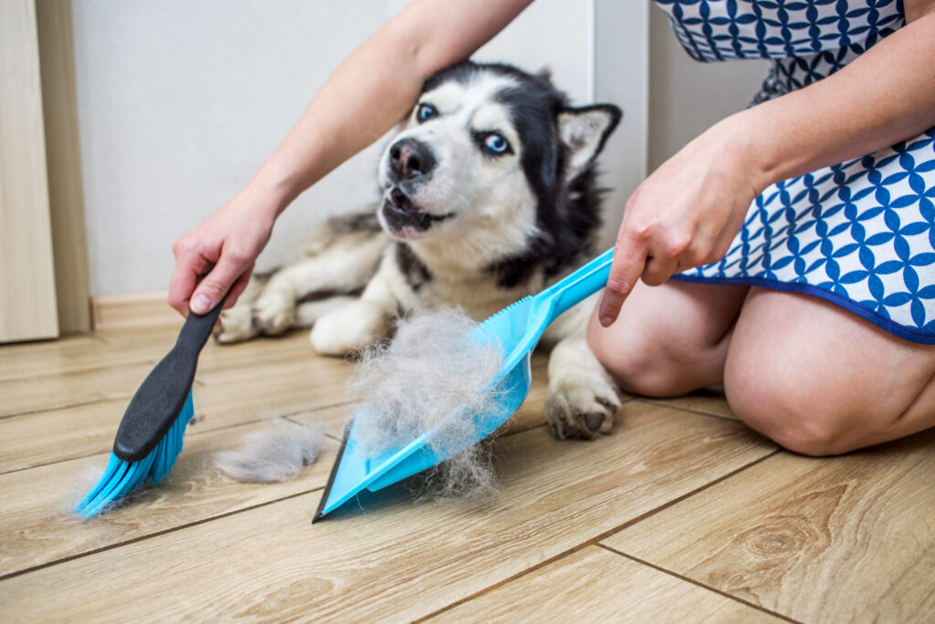 recogiendo pelo de perro